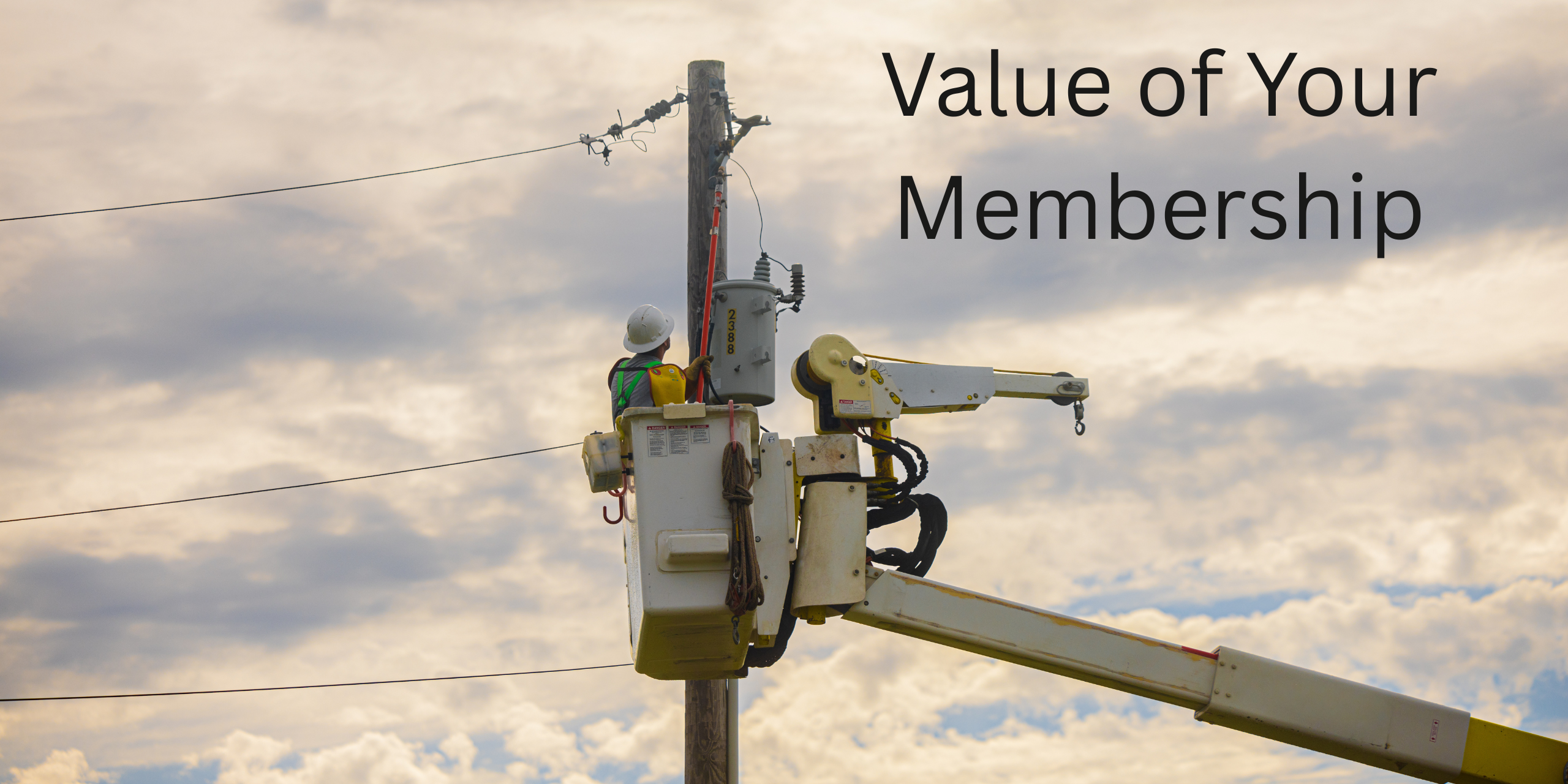 value of membership