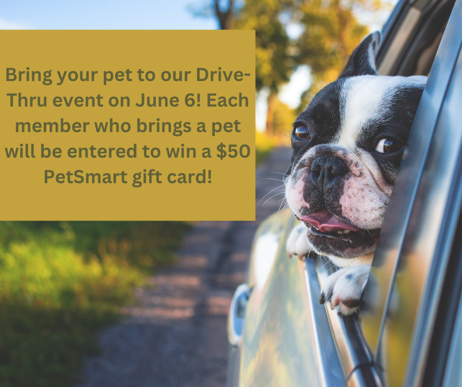 pet gift card